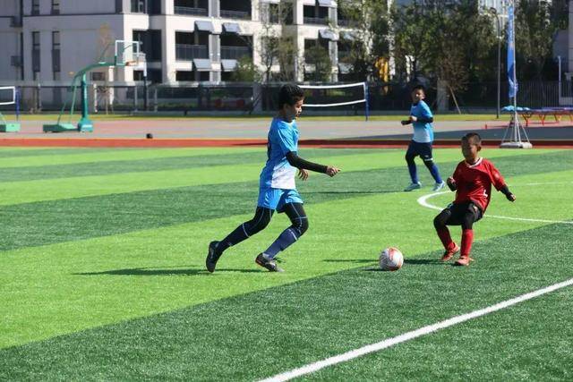 韩德君22+14沃特斯22分 辽宁力克广东四连胜